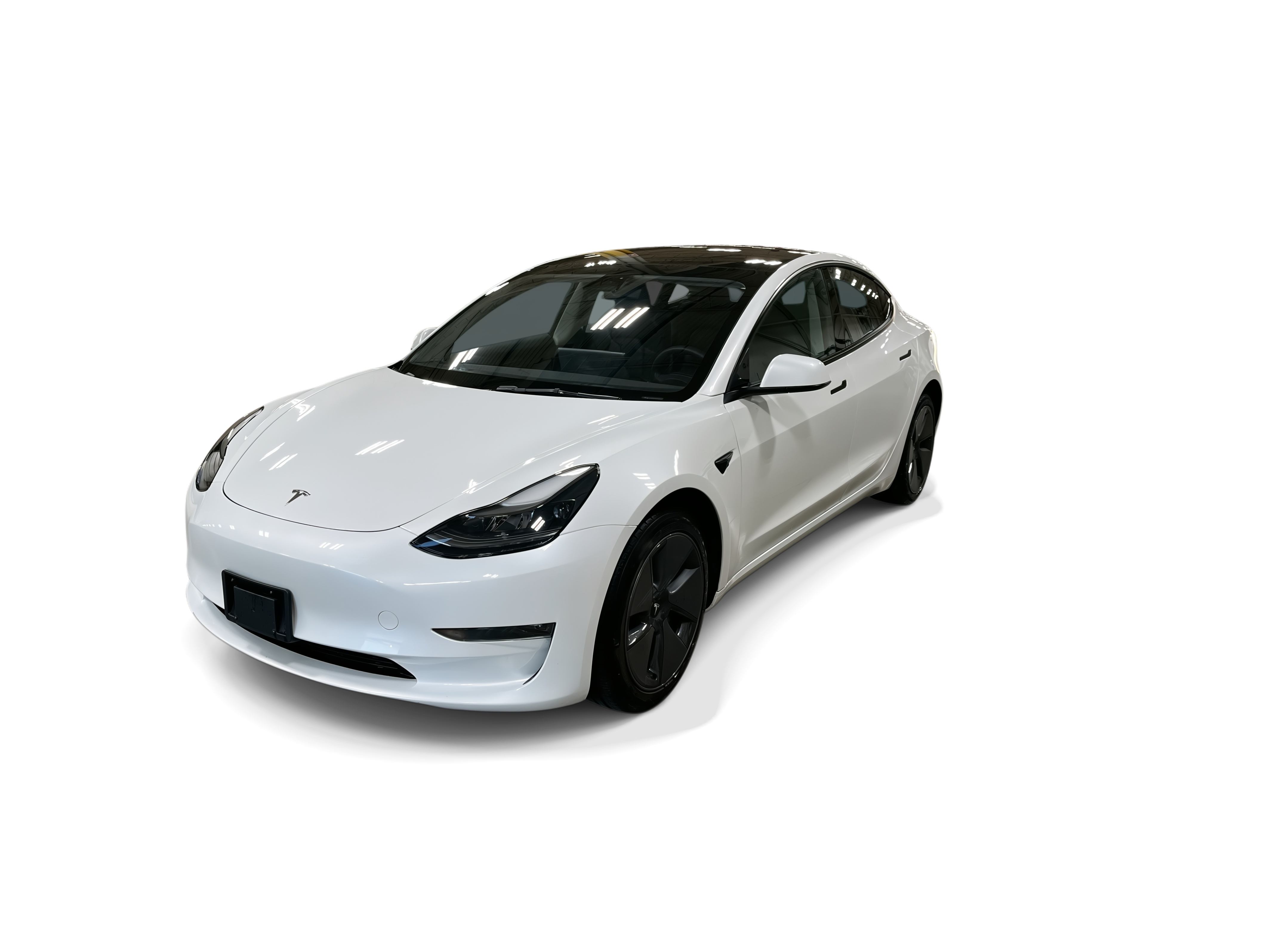 tesla model 3 2023 5YJ3E1EA8PF502255 image tesla model 3 2023 5YJ3E1EA8PF502255 image